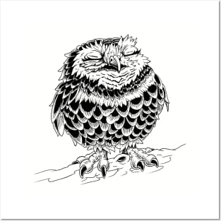 Little Owl Posters and Art